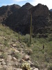 photo thumbnail #2