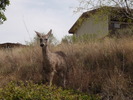 photo thumbnail #4