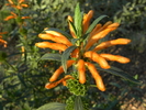 photo thumbnail #13