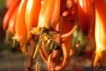 photo thumbnail #15