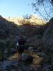 photo thumbnail #7