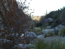 photo thumbnail #10