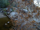 photo thumbnail #11