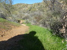 photo thumbnail #4