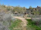 photo thumbnail #8