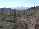 photo thumbnail #2