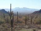 photo thumbnail #3