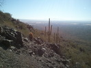 photo thumbnail #4