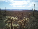 photo thumbnail #9