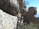 photo thumbnail #7