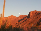 photo thumbnail #10