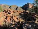 photo thumbnail #9