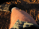 photo thumbnail #11