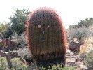 photo thumbnail #6