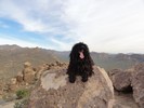 photo thumbnail #3