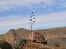 photo thumbnail #6