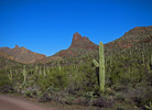 photo thumbnail #4