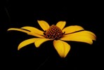 Featured Detail Photo