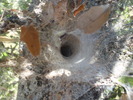 photo thumbnail #5