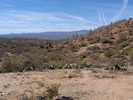 photo thumbnail #6