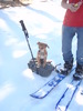 photo thumbnail #13