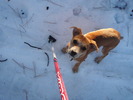 photo thumbnail #1