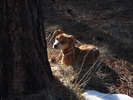 photo thumbnail #11