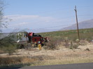 photo thumbnail #7