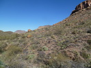 photo thumbnail #8