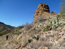 photo thumbnail #14