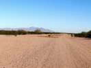 photo thumbnail #5