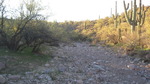 photo thumbnail #6