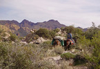 photo thumbnail #9