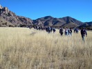 photo thumbnail #3