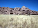 photo thumbnail #15