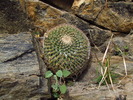 photo thumbnail #10