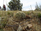 photo thumbnail #11