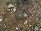 photo thumbnail #13