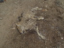 photo thumbnail #14