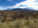 photo thumbnail #15