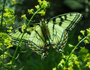 photo thumbnail #15