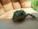 photo thumbnail #14
