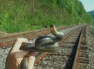 photo thumbnail #7
