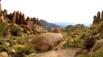 photo thumbnail #1
