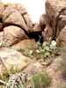 photo thumbnail #5