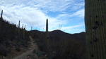 photo thumbnail #9