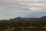 photo thumbnail #5