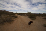 photo thumbnail #6
