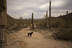 photo thumbnail #14