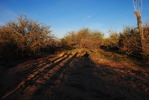 photo thumbnail #3